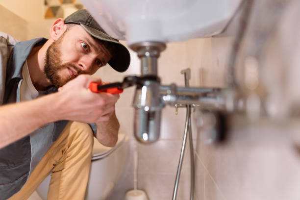 Best Clogged Drain Plumber  in Homedale, ID