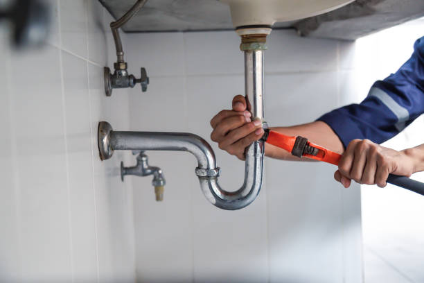 Best Local Plumber Services  in Homedale, ID
